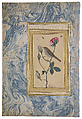 "Two Nightingales in a Rose Bush", Double-Sided Illustrated Leaf from an Ottoman Album, &#39;Abdullah Bukhari (Turkish, active ca. 1725–50s), Opaque watercolor with black ink, shell, and gold leaf on paper, with a marbled paper margin